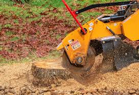 Best Tree Maintenance Programs  in Wilson, OK